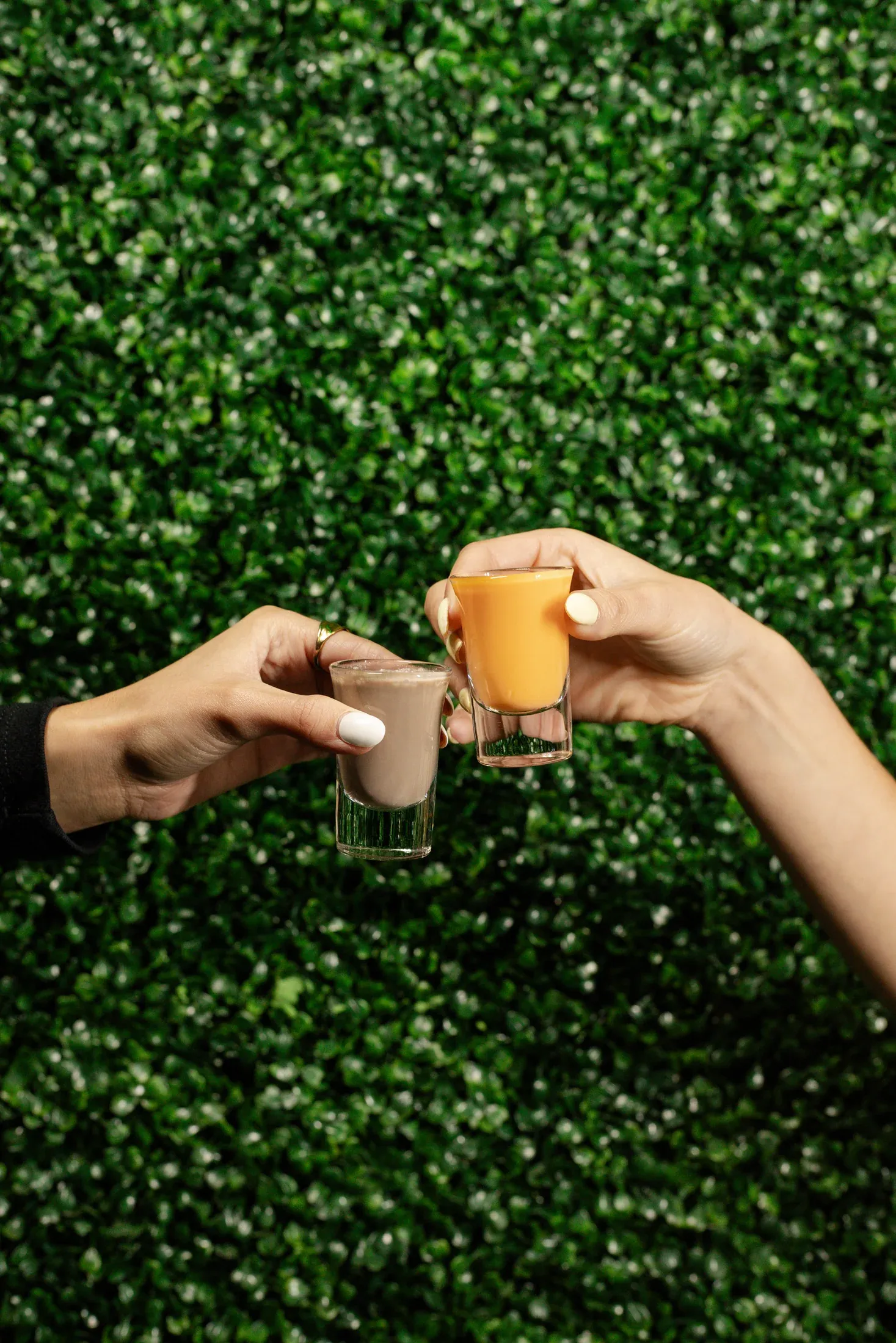 Three guests toast small drinks against the Black Klover greenery wall