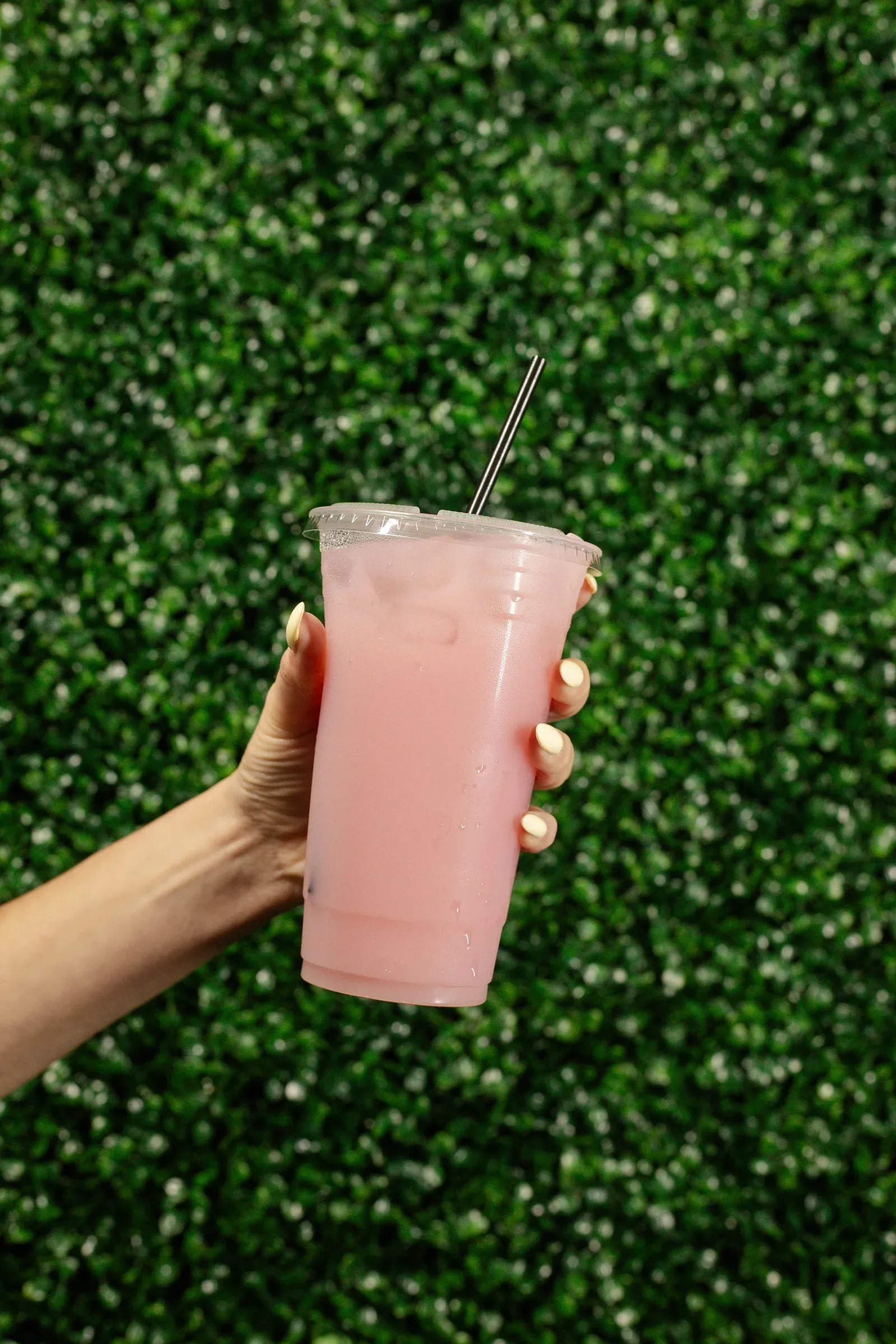 Pink Kavalixir served over ice in a clear cup
